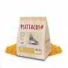Psittacus mini hand feed 350gms