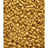 Versele Laga Nutribird P15 Pellet 2kg loose