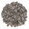 Versele Laga Toma Sunflower Bag 12.5kg
