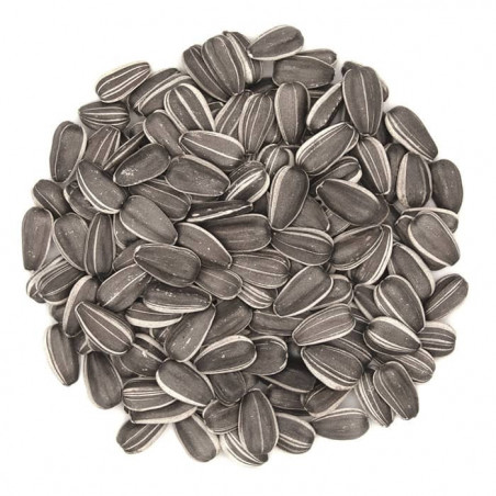 Versele Laga Toma Sunflower Bag 2kg