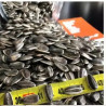 Imported Argentina big sunflower 20kg bag