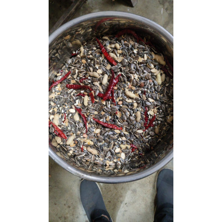 Imported Big Parrot Mix 1kg