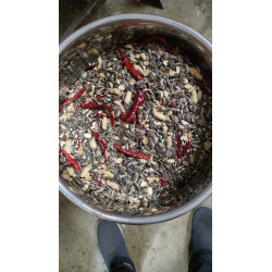 Imported Big Parrot Mix 4kg