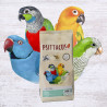 Psittacus Parrot Hand-Feed 1kg