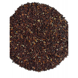 versele laga black millet 1kg loose