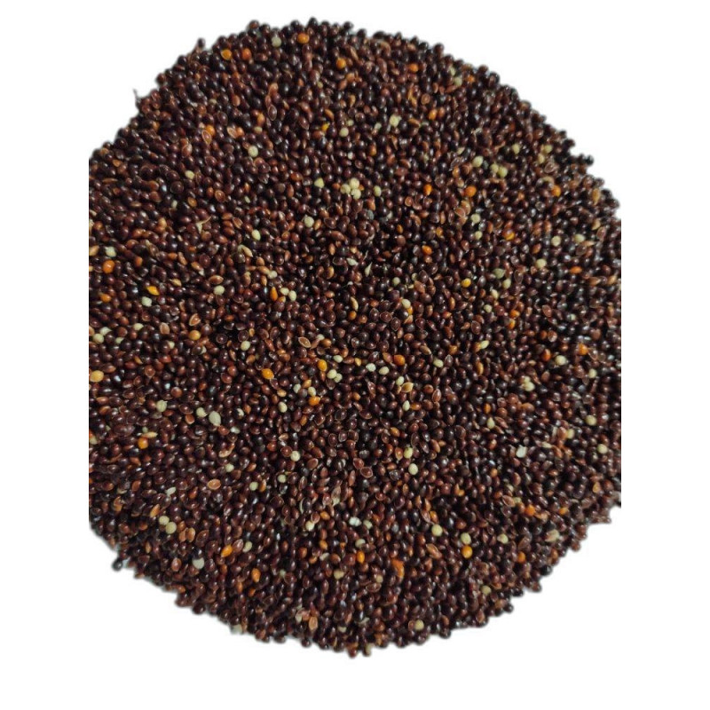 versele laga black millet 1kg loose