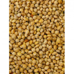 versele laga yellow millet 1kg loose