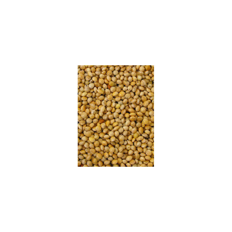 versele laga yellow millet 1kg loose