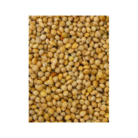 versele laga yellow millet 1kg loose
