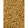 versele laga yellow millet 1kg loose