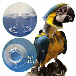 Parrot Collar Medium Size