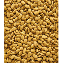 Versele Laga Nutribird P19 Pellet 2kg loose