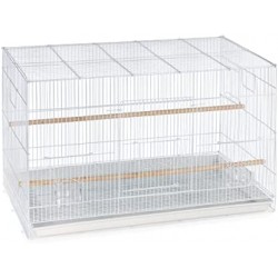 Imported Bird cage 2 Feet