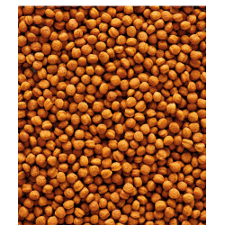 Versele Laga Nutribird T16 Pellet 10kg