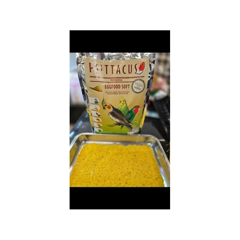Psittacus egg food 1kg | Bird Store