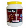 Versele Laga A19 Nutri Baby Bird Food (800gm, Powder, Peanut Butter Flavor)