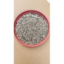 Bird Store Premium hemp seeds 1kg