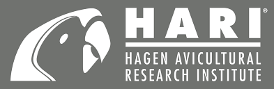 Hagen Hari